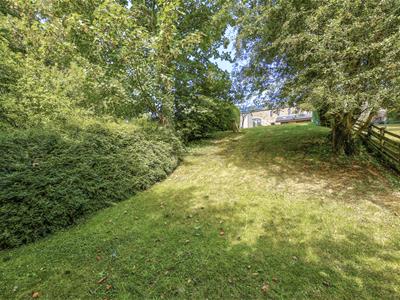 Picture 28